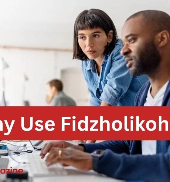 Why Use Fidzholikohixy