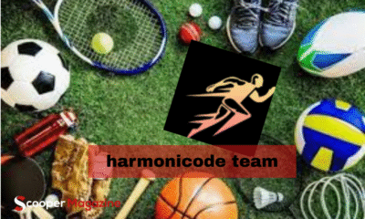harmonicode team