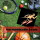 harmonicode team