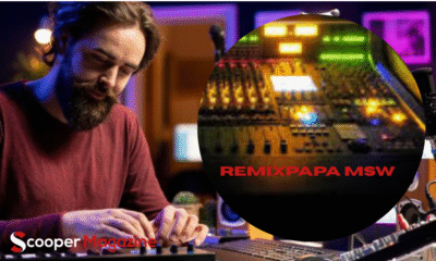 Remixpapa MSW