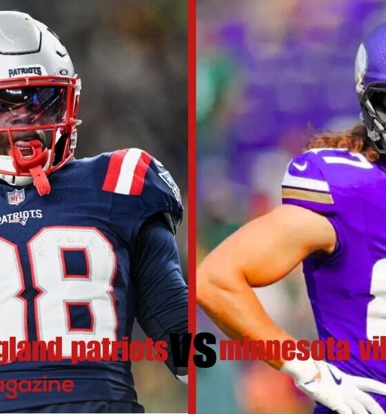 new england patriots vs minnesota vikings match player stats