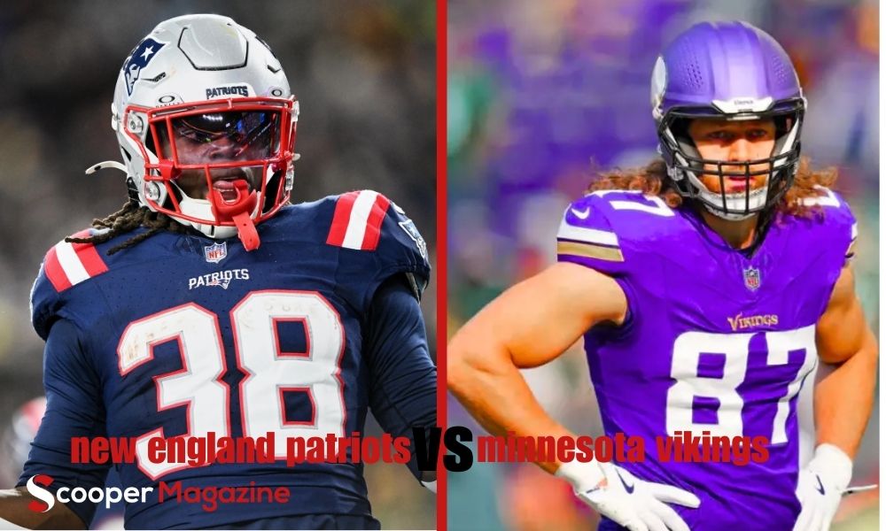 new england patriots vs minnesota vikings match player stats