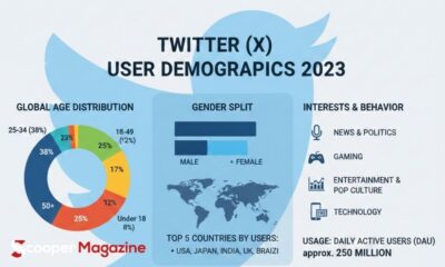 twitter user demographics 2023