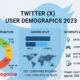 twitter user demographics 2023