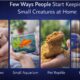 Few ways people start keeping small creatures at home